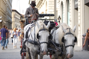 Carriage in Florence Italy